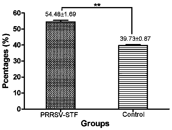 Preparation method of highly pathogenic porcine reproductive and respiratory syndrome specific transfer factor