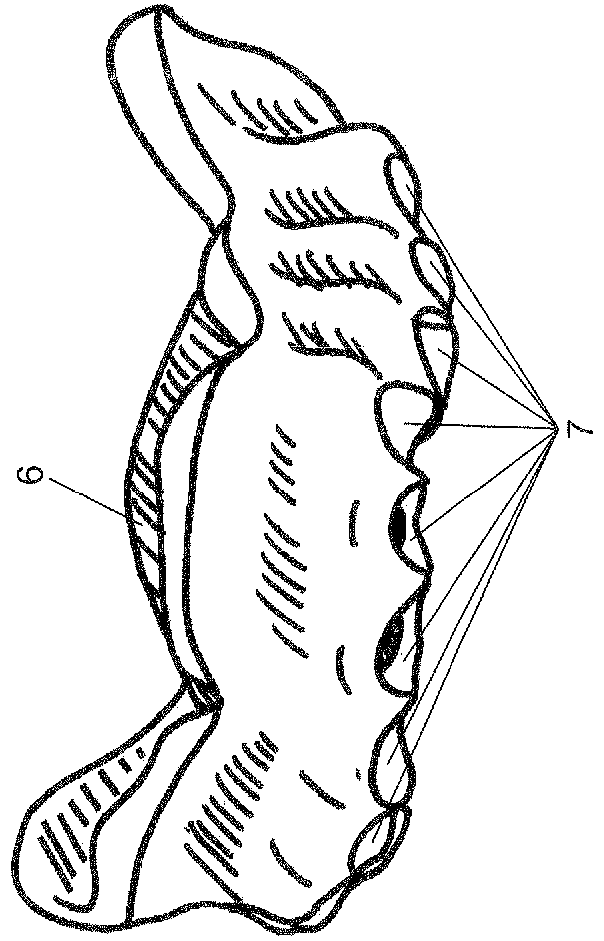 Method for producing a prosthesis base