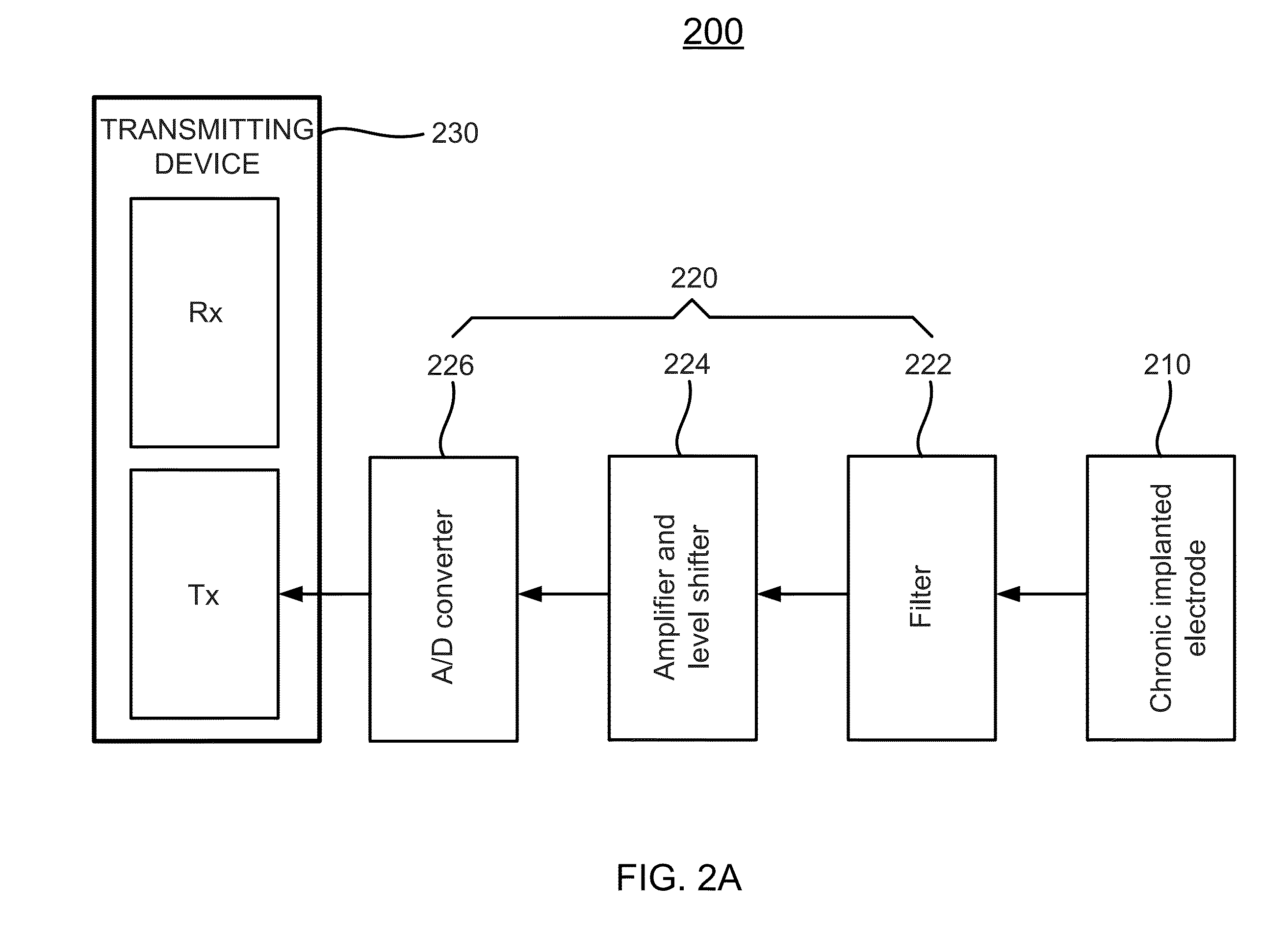 System and method for animal-human neural interface