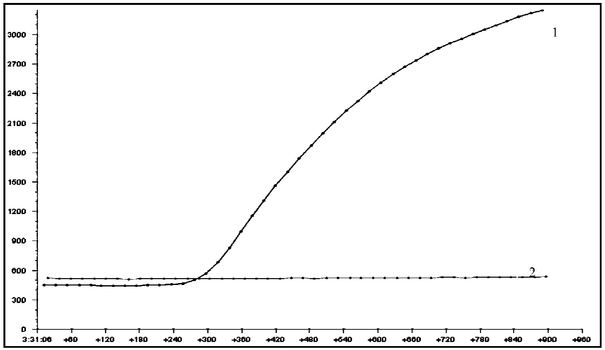 RPA (recombinase polymerase amplification) primer, probe, kit and method for detecting vibrio parahaemolyticus