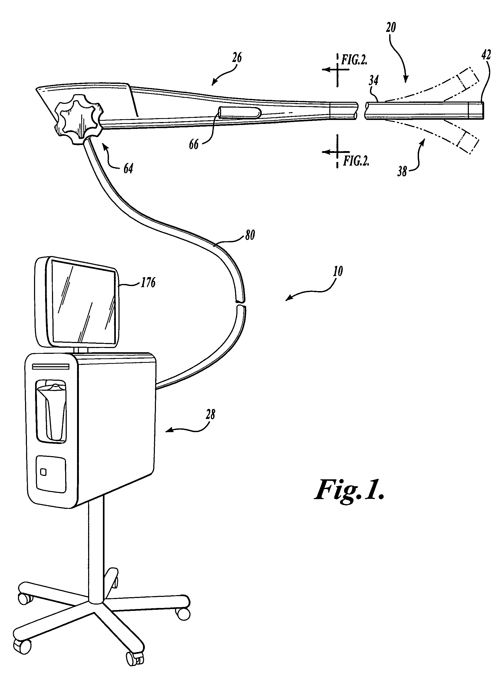 Endoscopic system with integrated patient respiratory status indicator