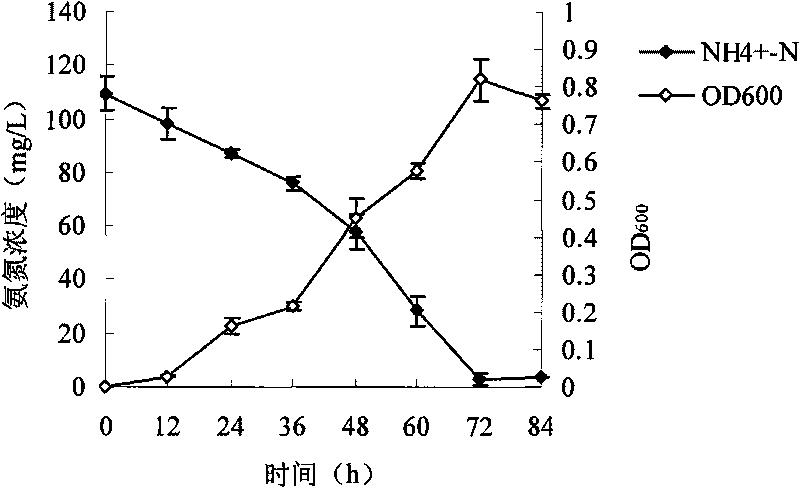 Pseudomonas stutzeri YZN-001 for removing ammoniacal nitrogen, nitrate nitrogen and nitrous nitrogen in water body and application