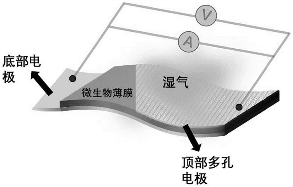 Flexible moisture power generation device and application thereof