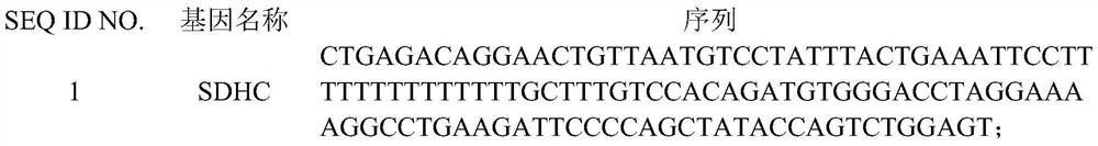 Generic cancer category multi-gene MSI site targeted detection probe and kit and application