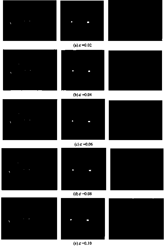 Iris feature hiding method based on random noise mechanism