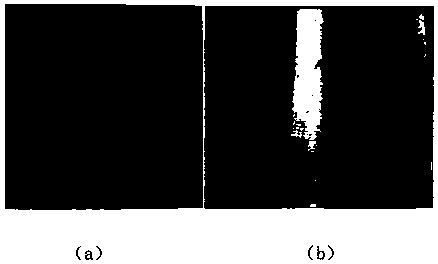 Method for detecting thermal imaging defects of high pressure vessel on basis of variable step size segmentation of lines