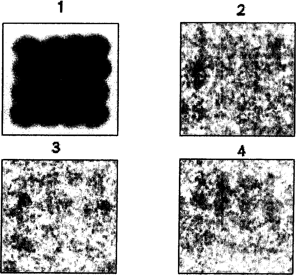 Signal detection method for gene chip of oligonucleotide with length more than 50 basic groups