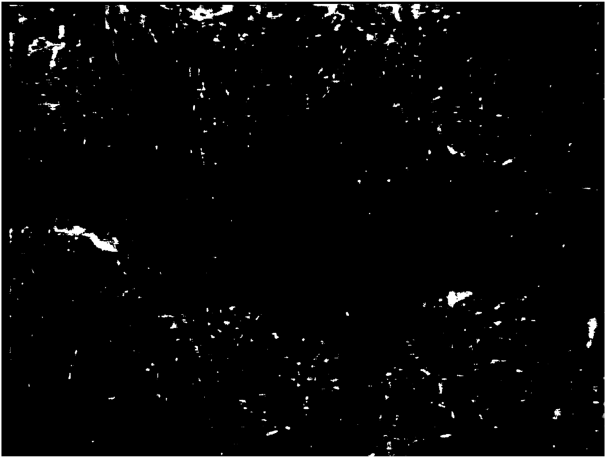 Method for producing a structured microfilament nonwoven