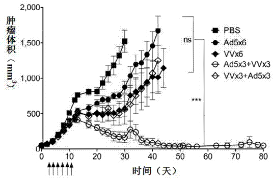 Vaccine for inducing specific immunity of tumor and application thereof