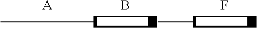 Process for the Preparation of a 1,3-Butadiene and Styrene Copolymer Containing a Random Section in its Main Chain Followed by a Block with a Structure Differentiated from the Main Chain, Homopolymeric or Copolymeric, Functionalized and the Product Obtained From This