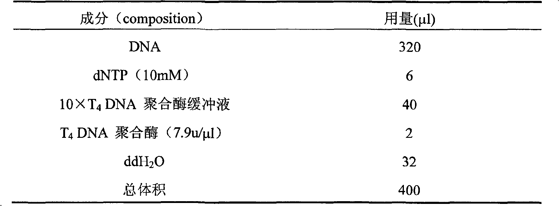 Chinese hamster microsatellite genetic marker and screening method thereof