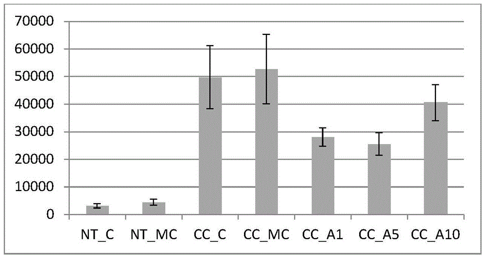 2-Amino-7-substituted benzothiazole compounds, preparation method and use thereof