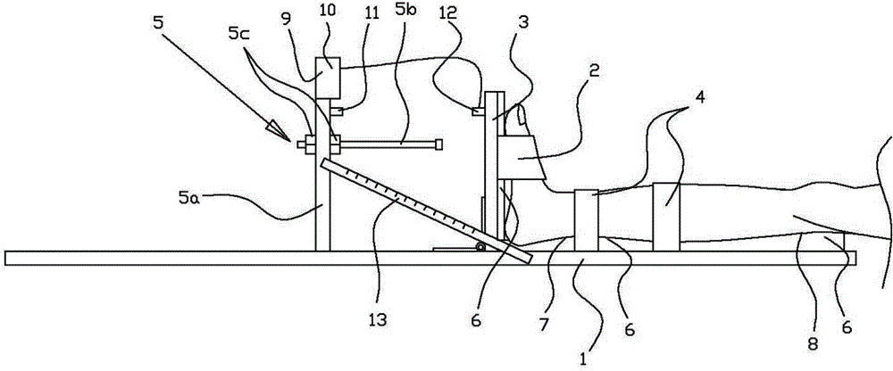 Active ankle exercising device