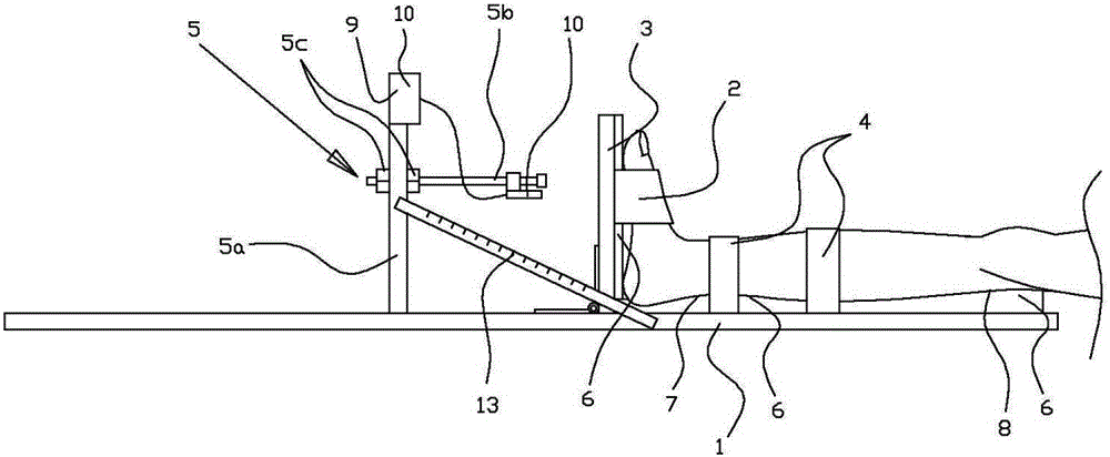 Active ankle exercising device