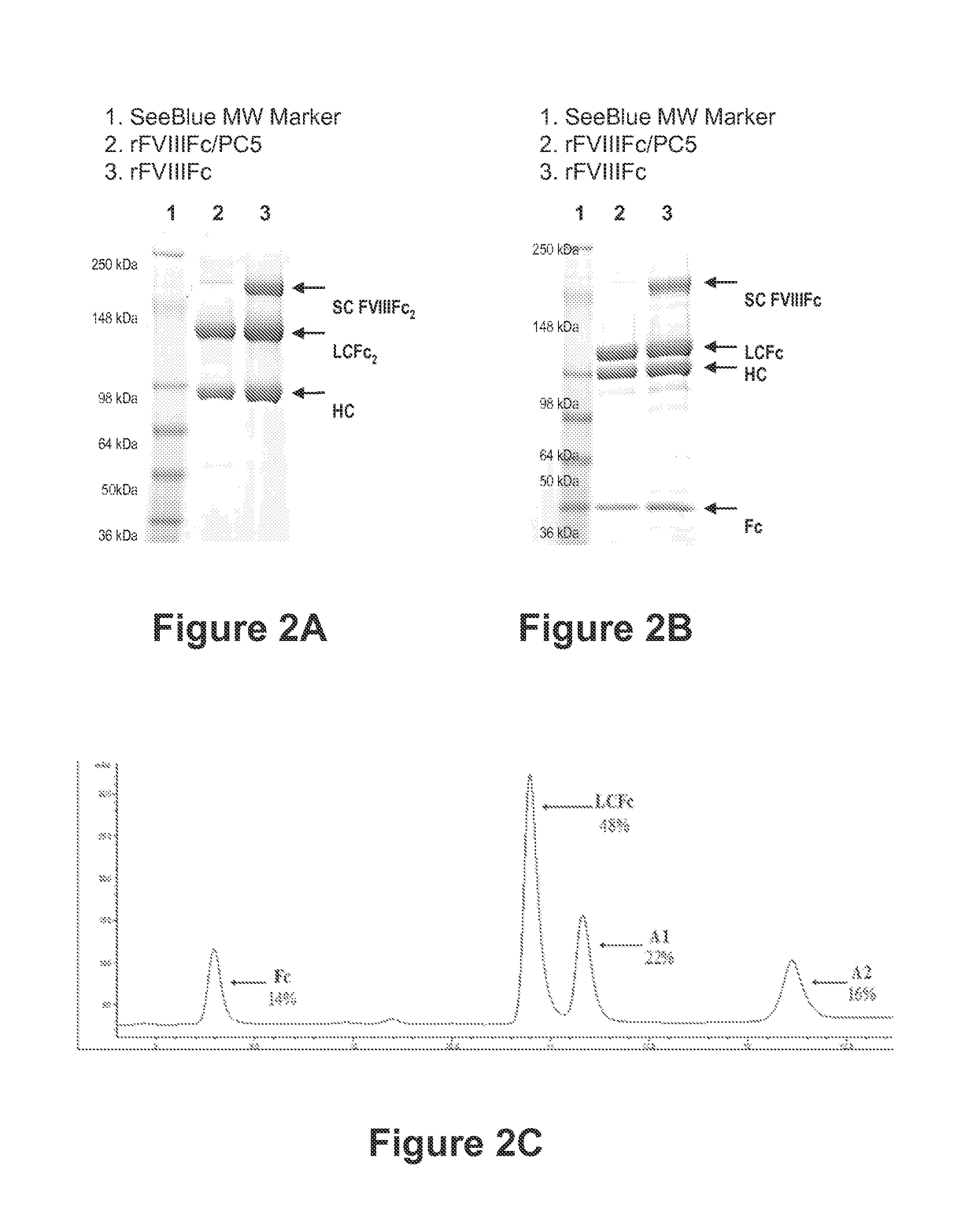 Methods of reducing immunogenicity against factor VIII in individuals undergoing factor VIII therapy