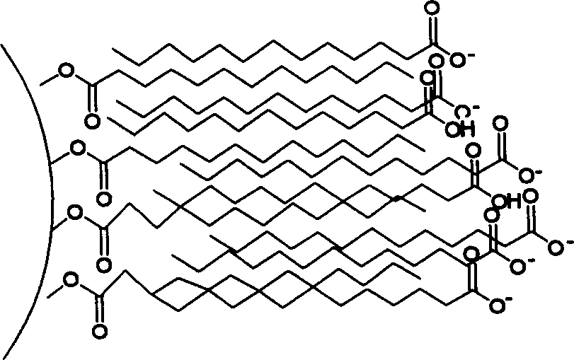 N-acyl sarcosine modified aqueous magnetic liquid and its preparation method