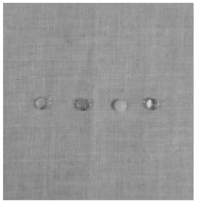 A kind of fluorine-free durable superhydrophobic cotton cloth and its preparation method and application