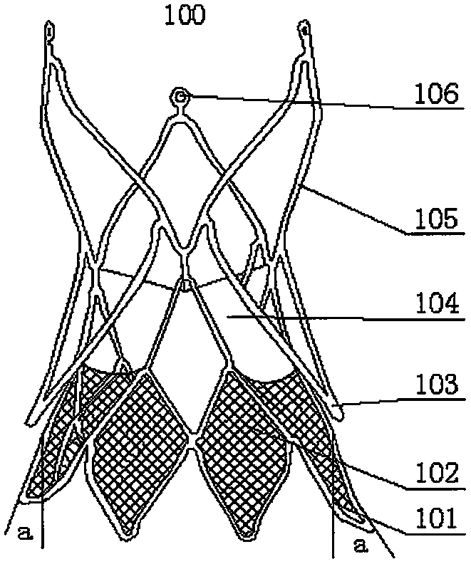 Aortic valve membrane device conveyed through catheter