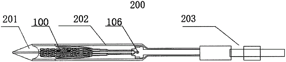 Aortic valve membrane device conveyed through catheter