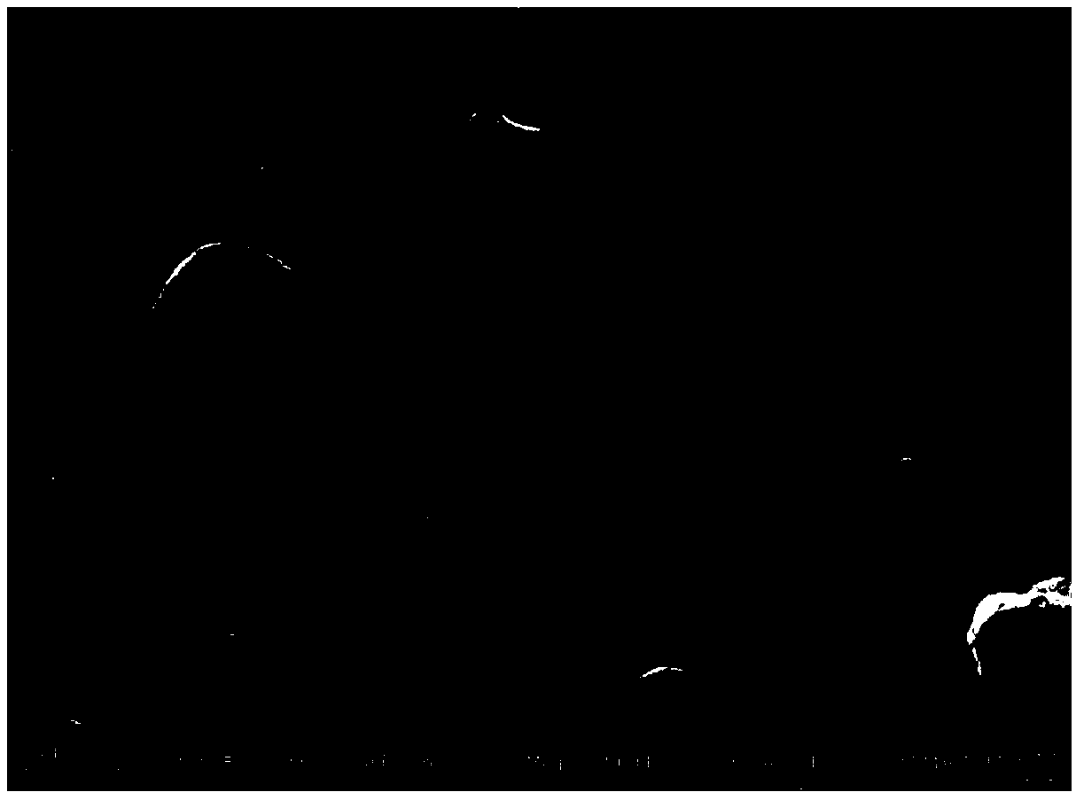 Microcrystalline glass and preparation method thereof