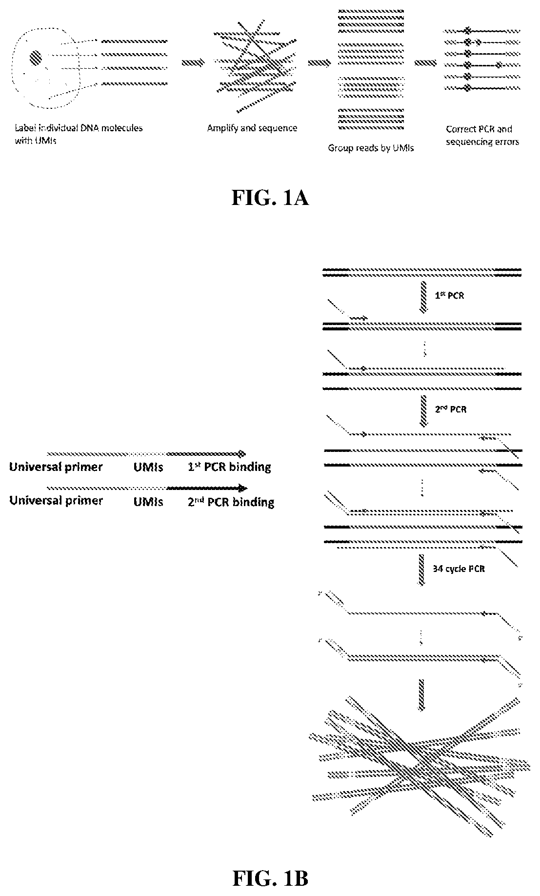 Compositions and methods of labeling nucleic acids and sequencing and analysis thereof