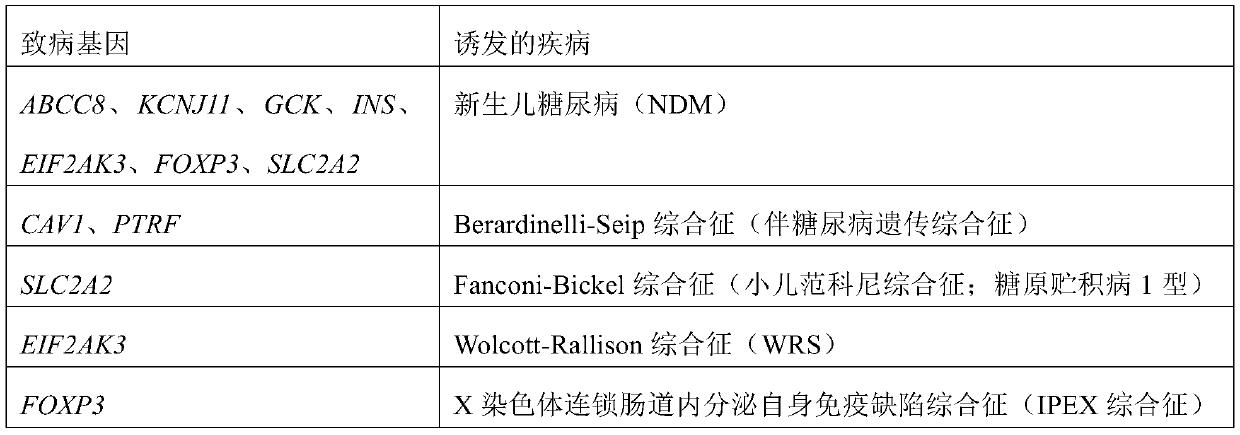 Sequencing library construction method, kit and application for high-throughput detection of neonatal diabetes-causing gene mutation sites