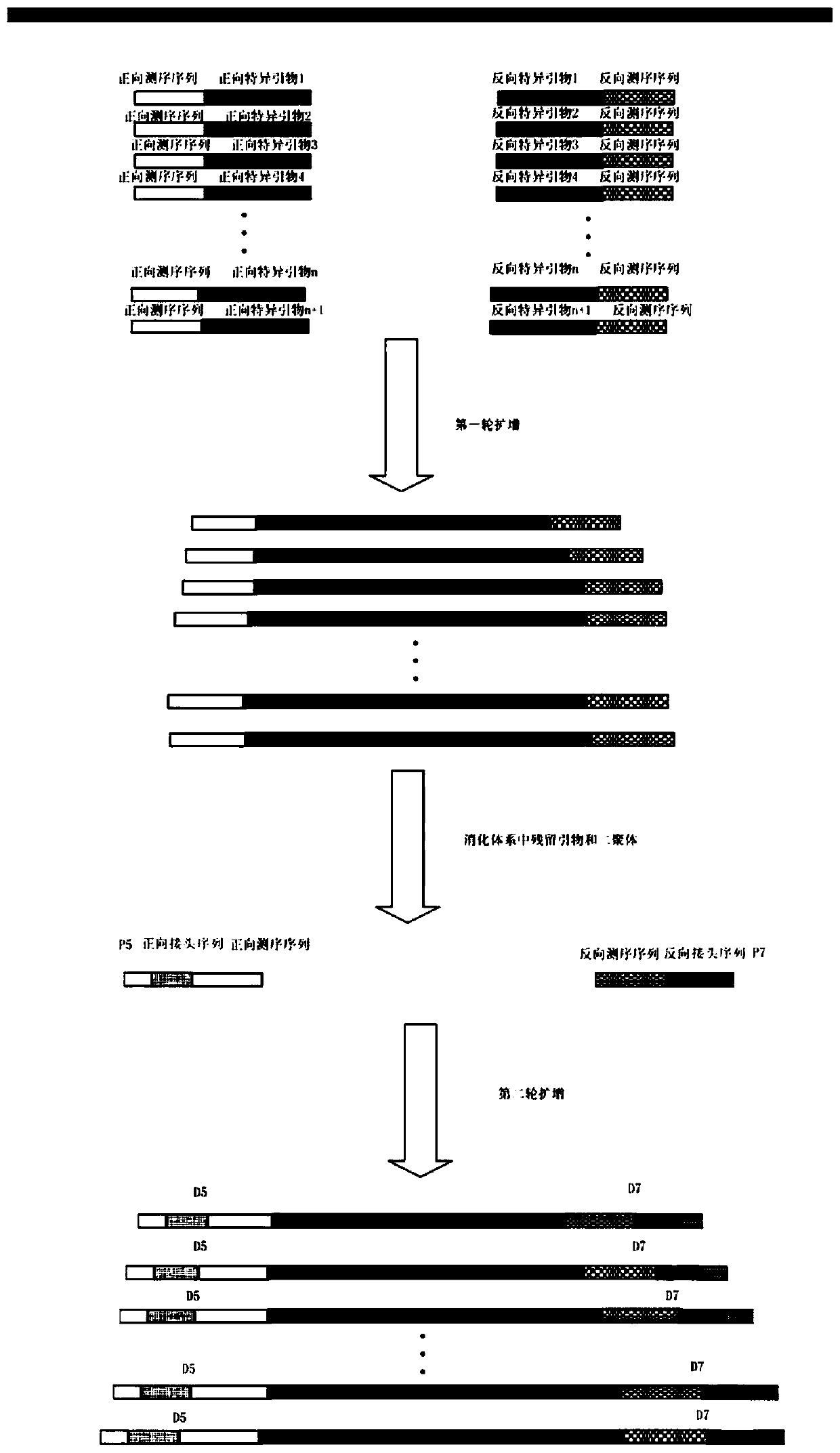 Sequencing library construction method, kit and application for high-throughput detection of neonatal diabetes-causing gene mutation sites