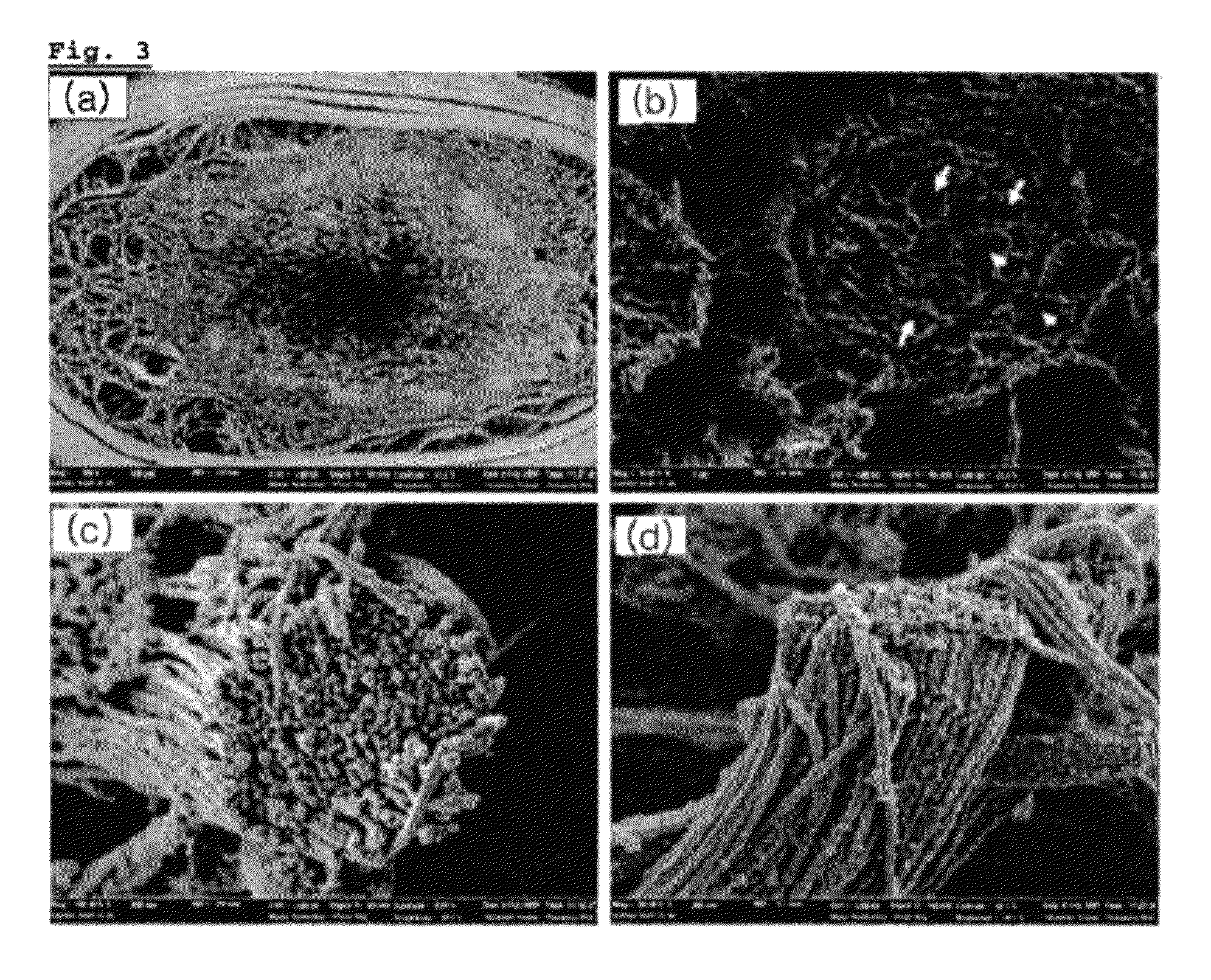 Methods for producing and using silk nanofiber nerve conduits