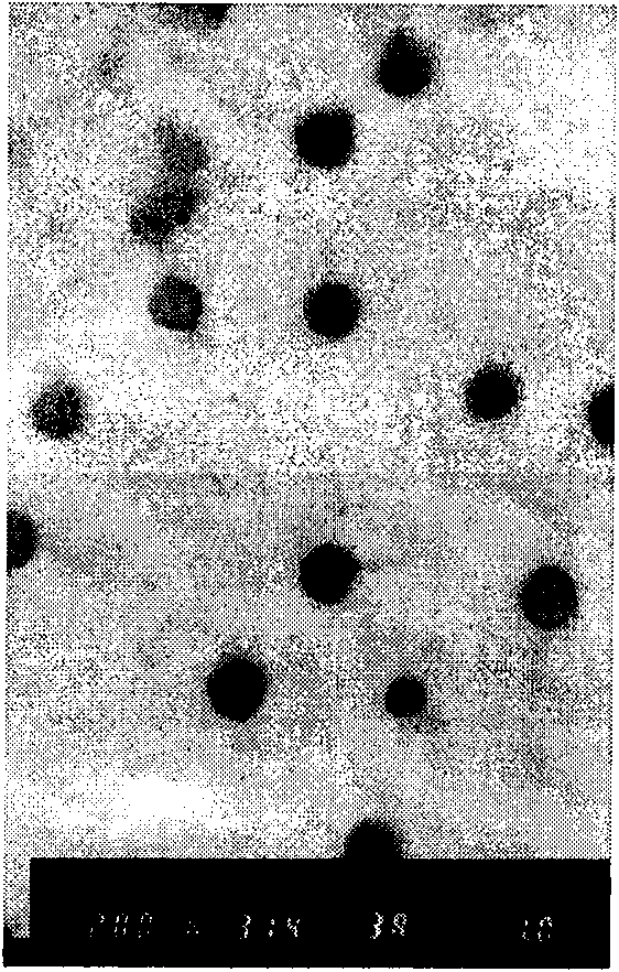 Microemulsion of total glucosides of paeony and active components