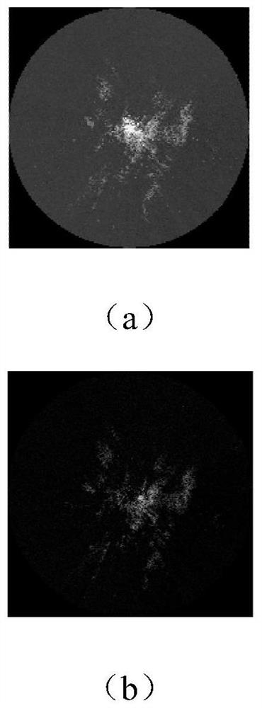 Marine radar rainfall analysis method based on improved AlexNet