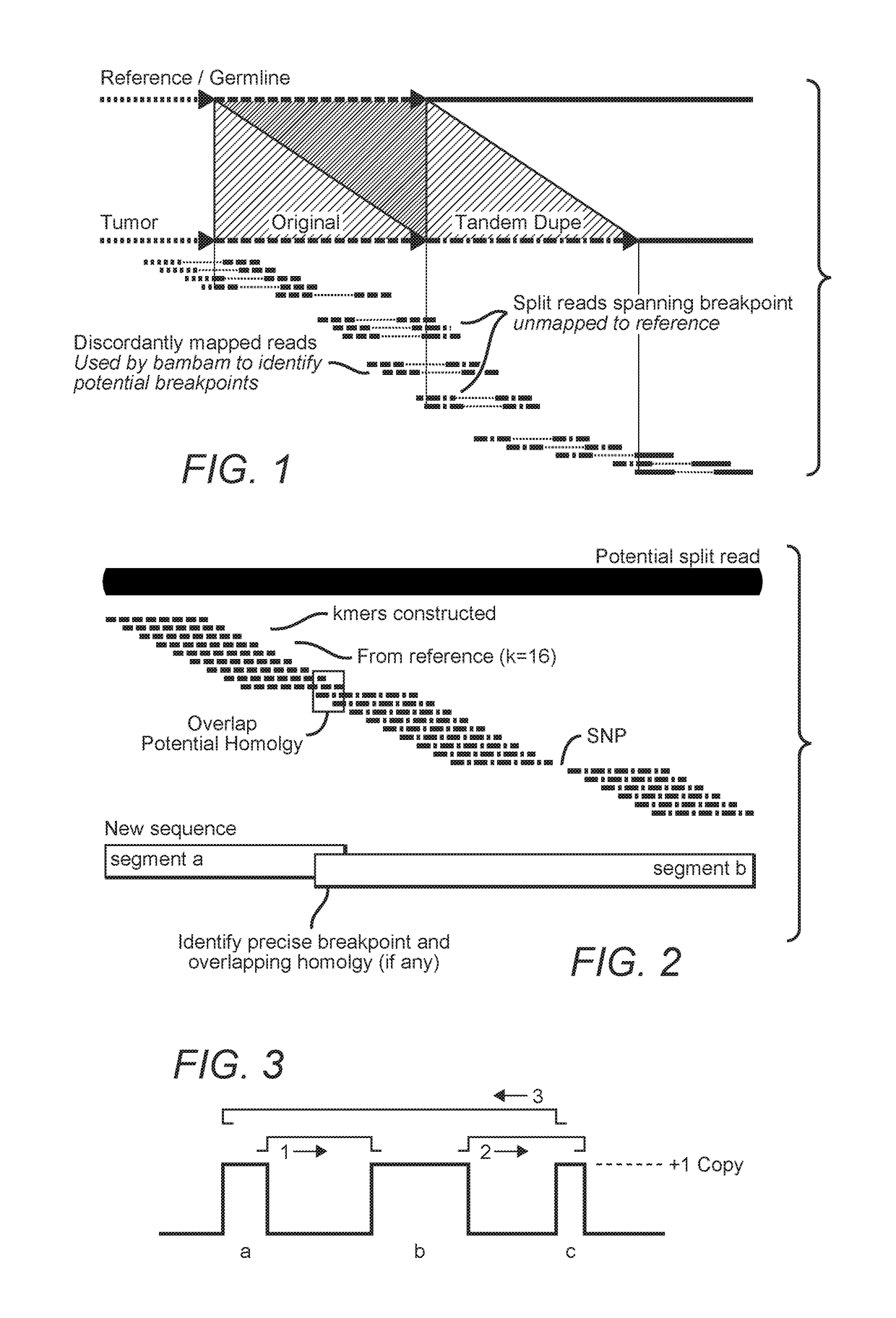 MDM2-Containing Double Minute Chromosomes And Methods Therefore