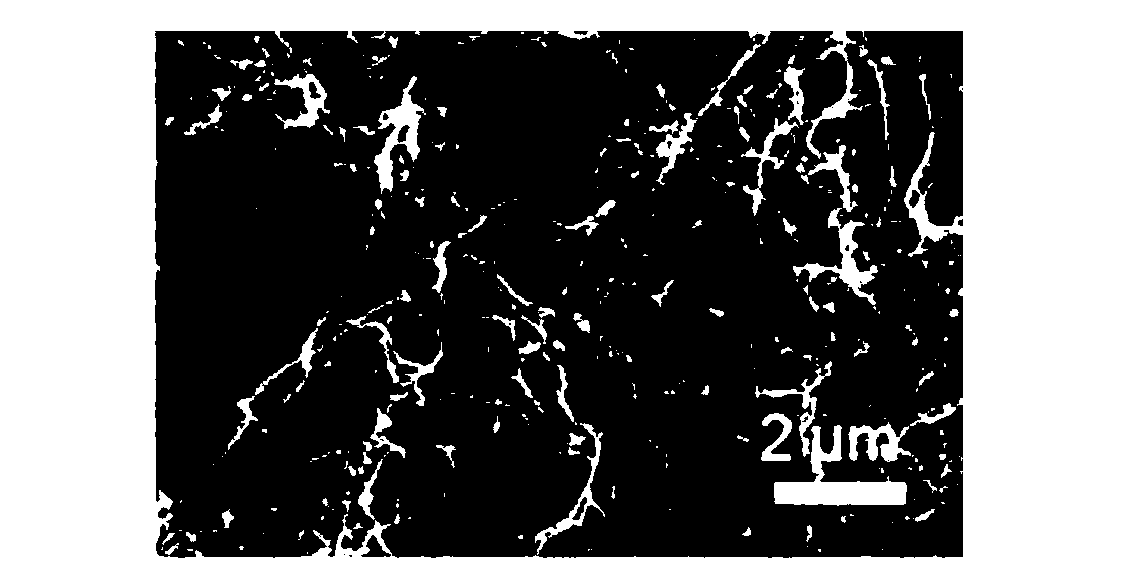 Carbon nanofiber aerogel as well as preparation method and application thereof