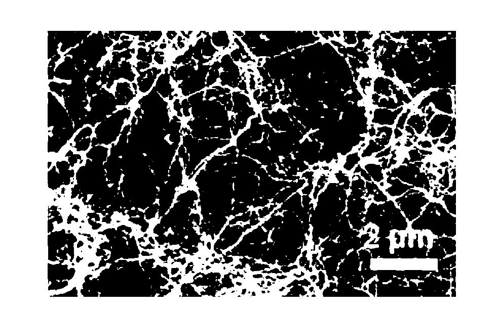 Carbon nanofiber aerogel as well as preparation method and application thereof