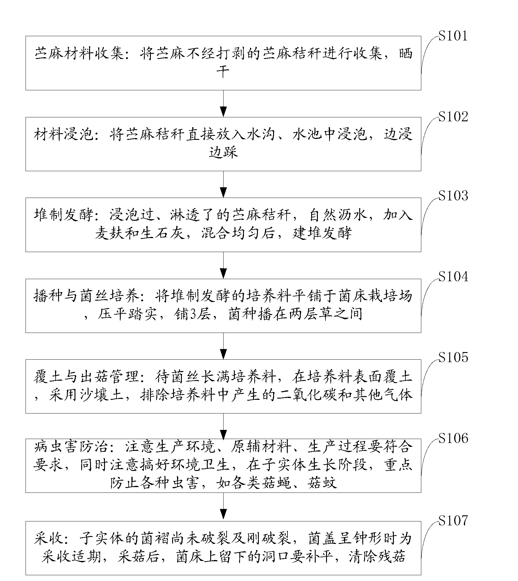 Method of cultivating stropharia mushrooms by using ramie stalks