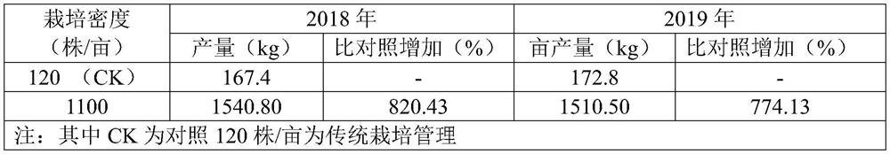 A kind of early-maturing and high-yield cultivation method of passion fruit