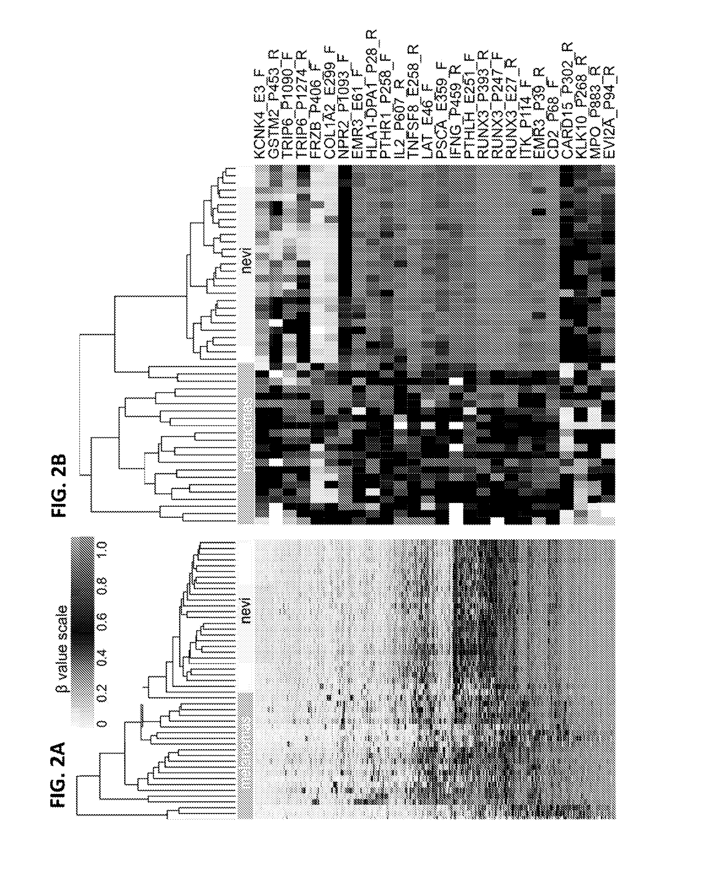 Methods and kits for detecting melanoma