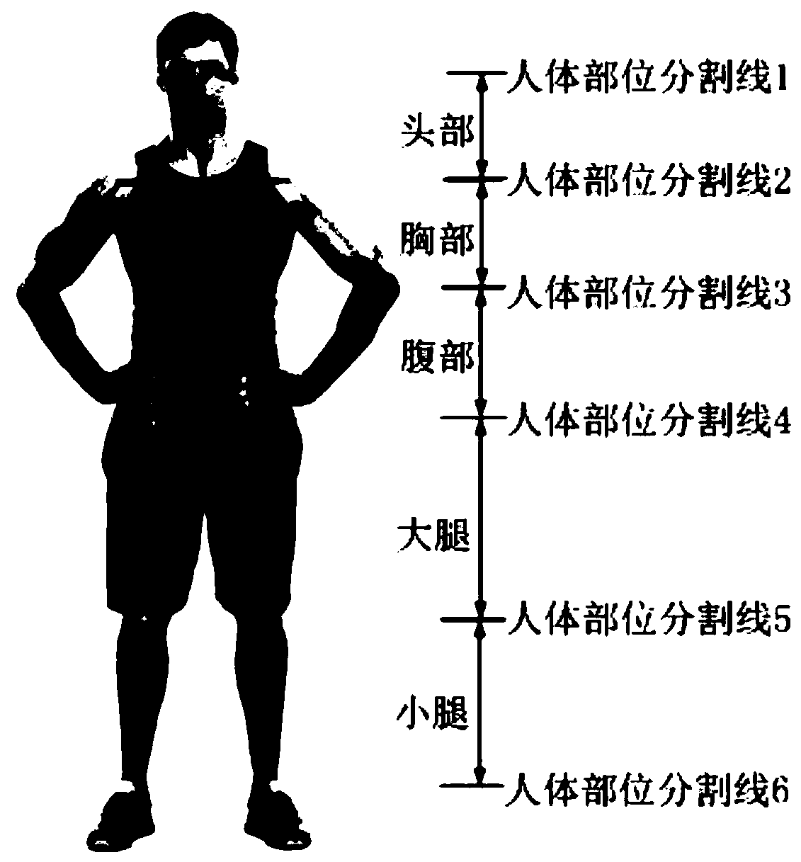 Human body integrity data labeling method and device and terminal equipment