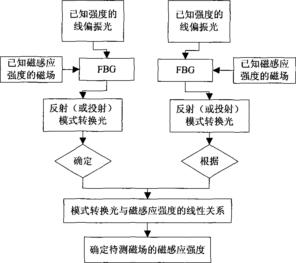 Magnetic induction measurement method and apparatus