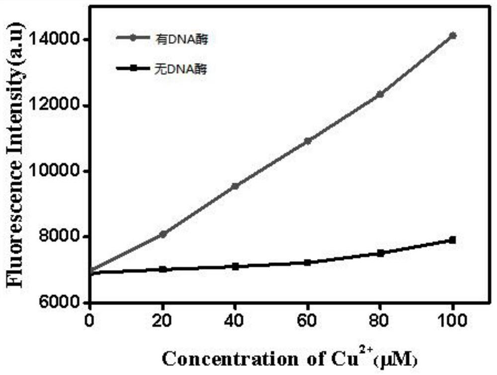 DNA enzyme, application of DNA enzyme, copper ion detection test paper based on DNA enzyme and preparation method of copper ion detection test paper