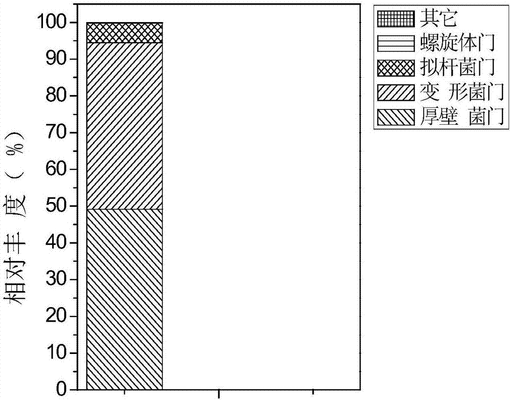 Method for producing acetic acid by utilizing self-assembly conductive biological membrane electrode to reduce carbon dioxide