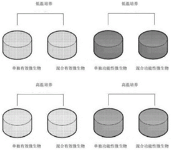 Homogeneous microorganism extract using useful and functional microorganisms and method for producing same