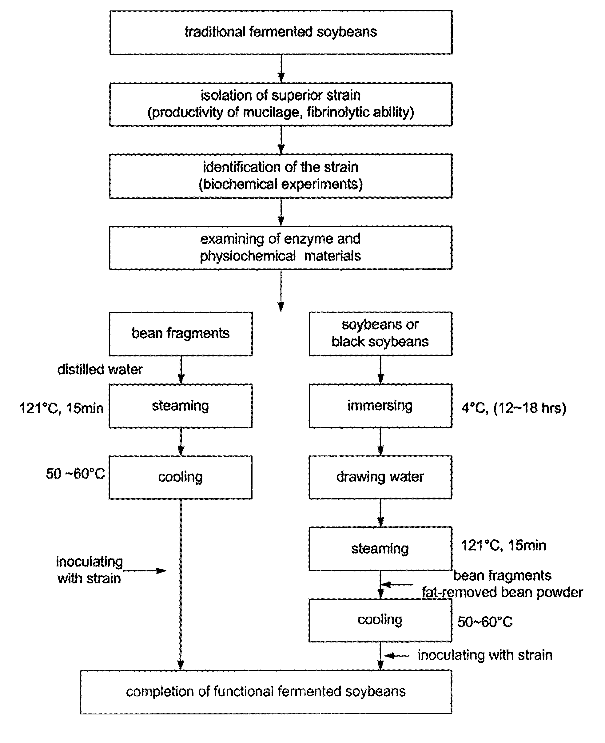 Bacillus subtilis ha producing fibrinolytic enzyme and mucilage highly, method of preparing fermented soybeans using the same strain, and soybeans prepared by the method