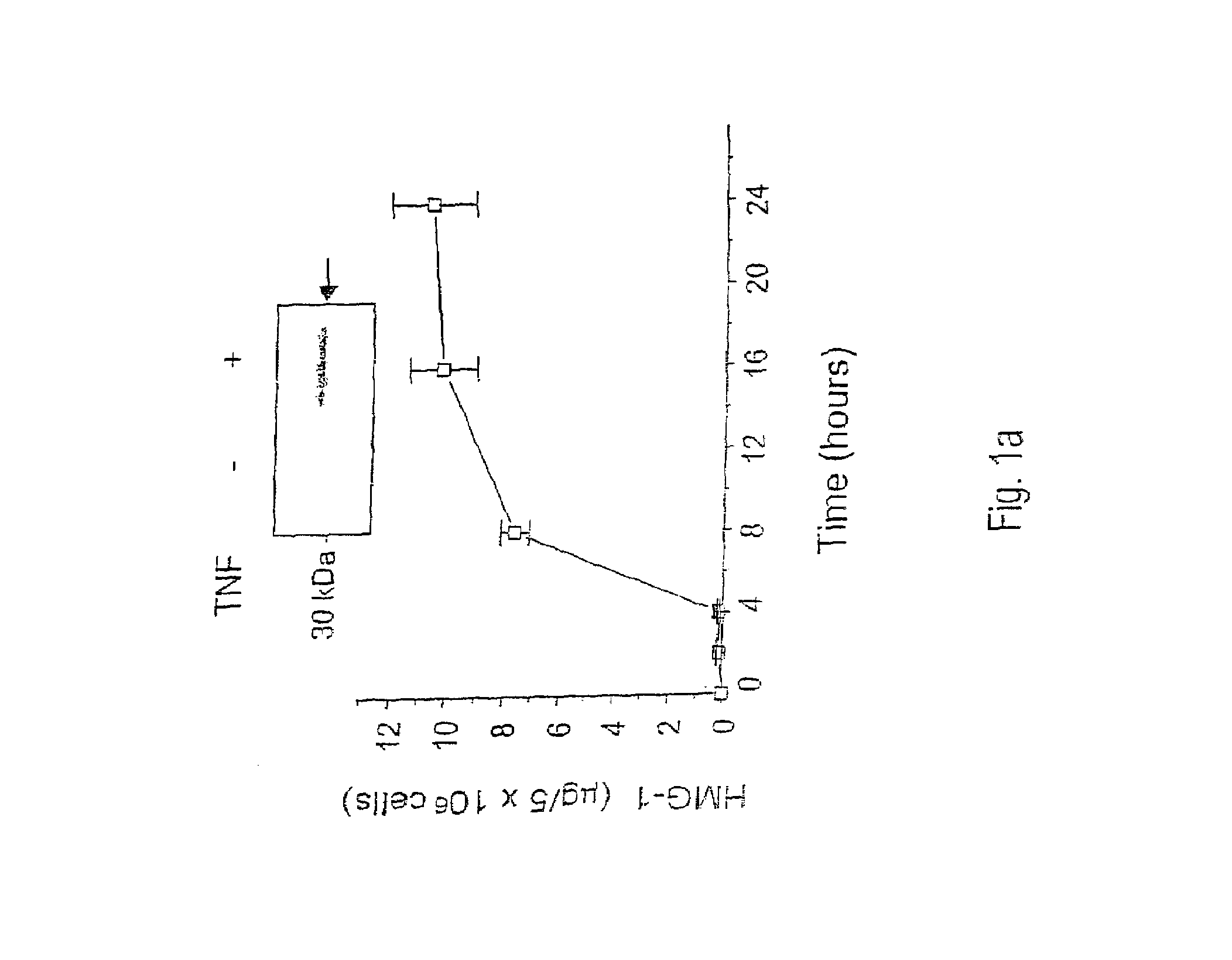 Antagonists of HMG1 for treating inflammatory conditions