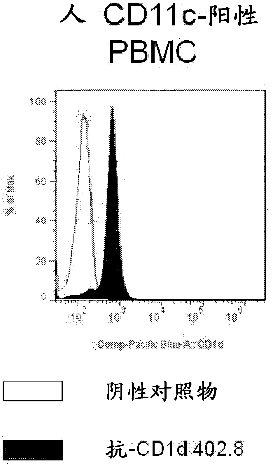 ANTIBODIES TO CD1d