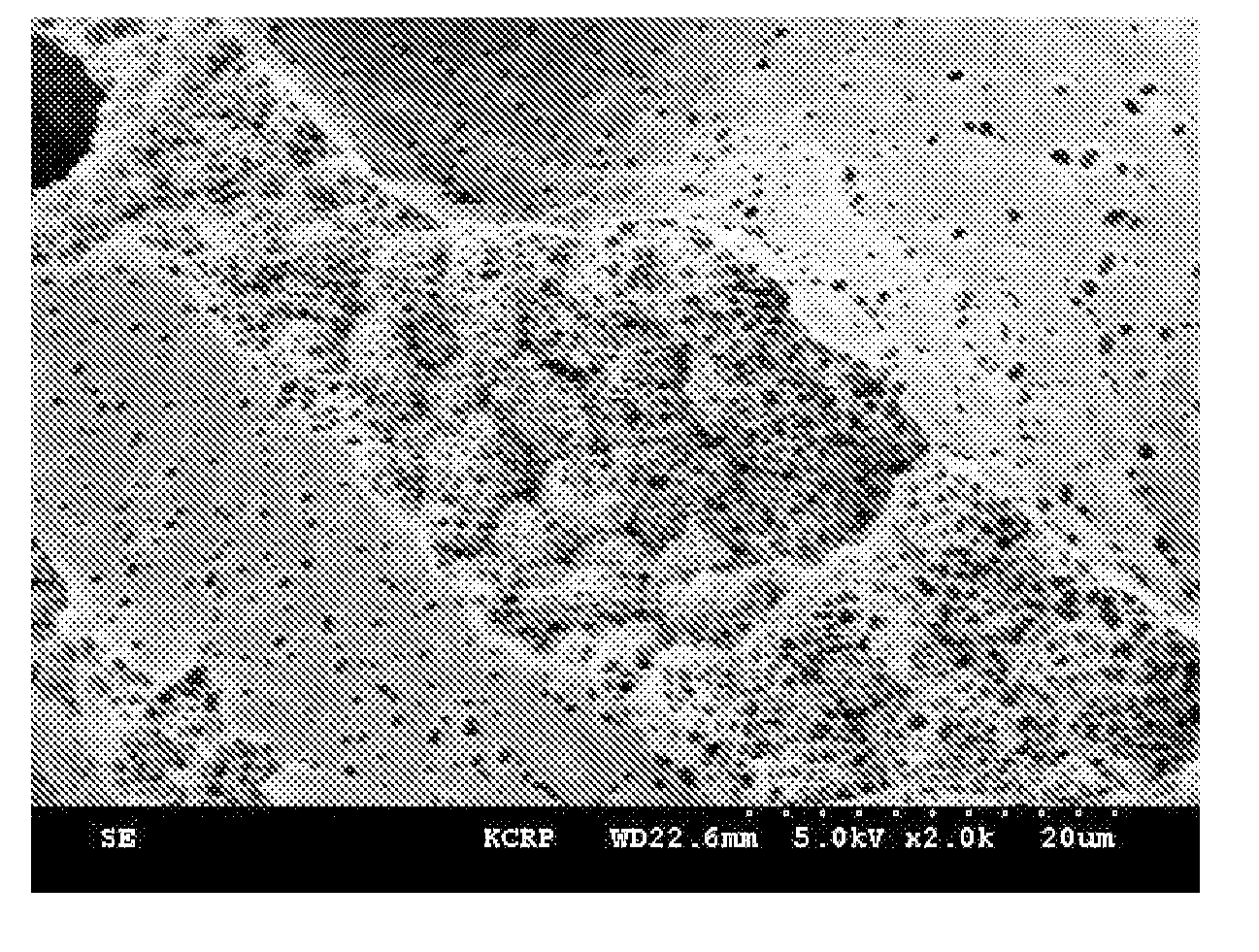 Porous membrane and preparation method thereof