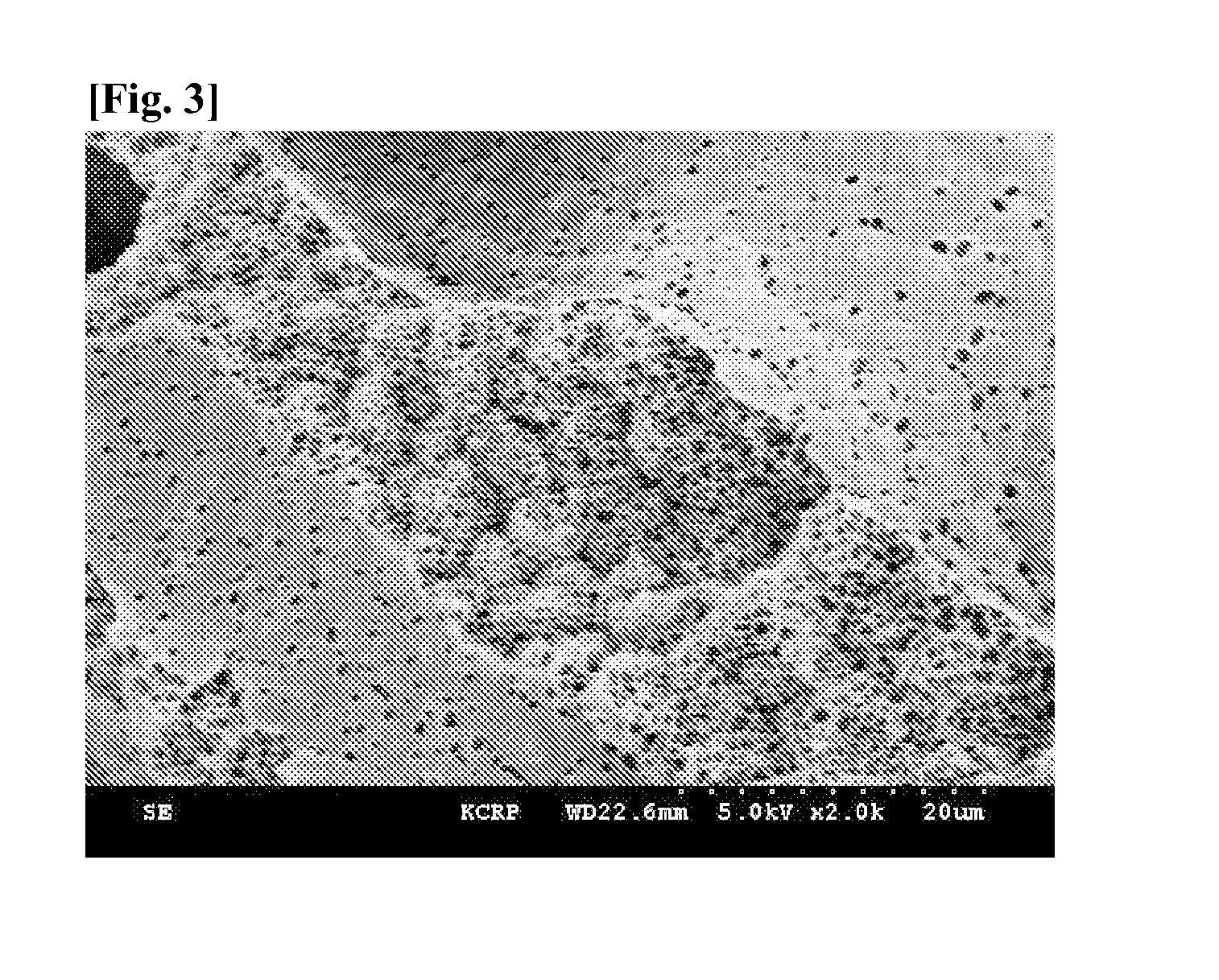 Porous membrane and preparation method thereof