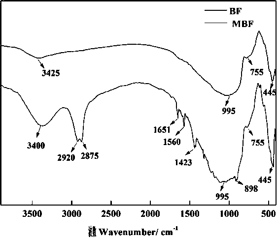 Preparation method of hydrophilic chitosan modified basalt fiber support