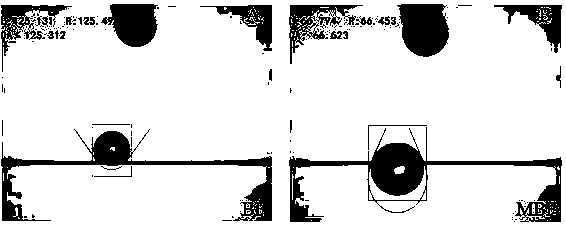 Preparation method of hydrophilic chitosan modified basalt fiber support