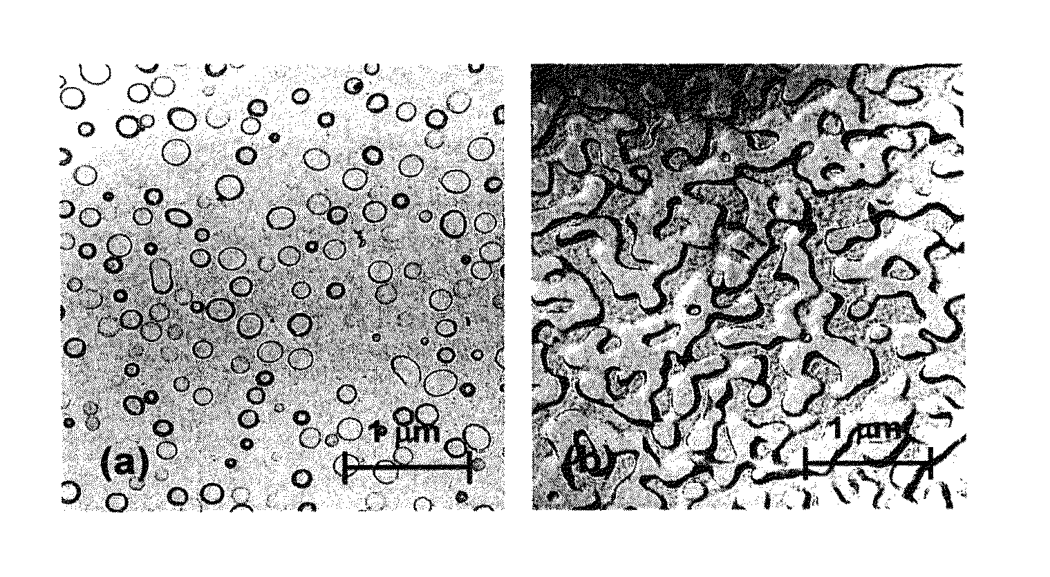 Phase-separated soda-lime-silica glass