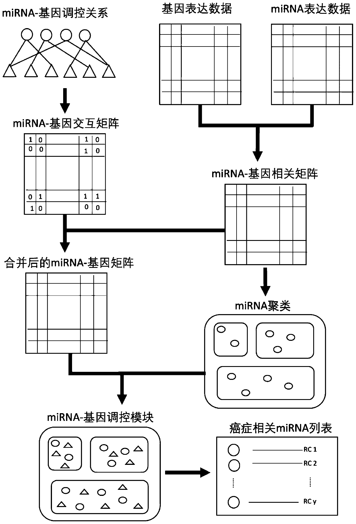 Cancer-related MicroRNA identification method based on miRNA-gene regulation module